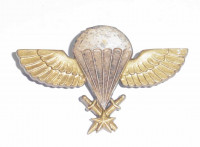 WORLD AIRBORNE & SPECIAL FORCES INSIGNIA 