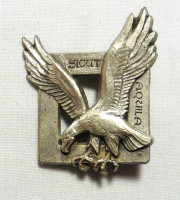 WORLD AIRBORNE & SPECIAL FORCES INSIGNIA 