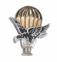 WORLD AIRBORNE & SPECIAL FORCES INSIGNIA 