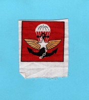 WORLD AIRBORNE & SPECIAL FORCES INSIGNIA 