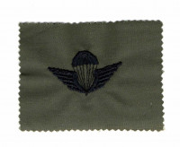 WORLD AIRBORNE & SPECIAL FORCES INSIGNIA 