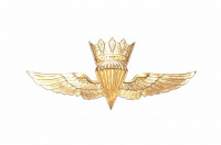 WORLD AIRBORNE & SPECIAL FORCES INSIGNIA 