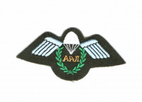 WORLD AIRBORNE & SPECIAL FORCES INSIGNIA 