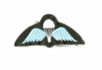 WORLD AIRBORNE & SPECIAL FORCES INSIGNIA 