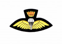 WORLD AIRBORNE & SPECIAL FORCES INSIGNIA 