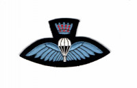 WORLD AIRBORNE & SPECIAL FORCES INSIGNIA 