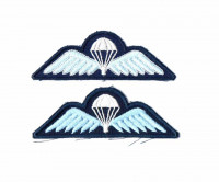 WORLD AIRBORNE & SPECIAL FORCES INSIGNIA 