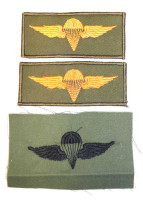 WORLD AIRBORNE & SPECIAL FORCES INSIGNIA 