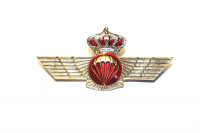 WORLD AIRBORNE & SPECIAL FORCES INSIGNIA 