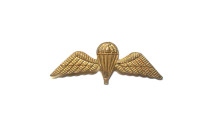 WORLD AIRBORNE & SPECIAL FORCES INSIGNIA 