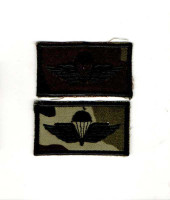 WORLD AIRBORNE & SPECIAL FORCES INSIGNIA 