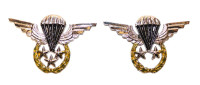 WORLD AIRBORNE & SPECIAL FORCES INSIGNIA 