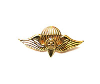 WORLD AIRBORNE & SPECIAL FORCES INSIGNIA 